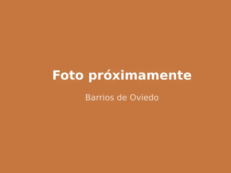 Barrios de Oviedo: cómo es cada zona de la ciudad
